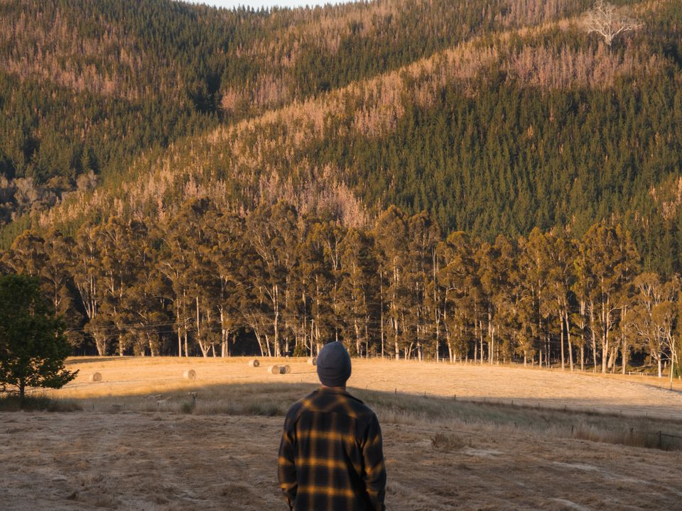 Story image 9